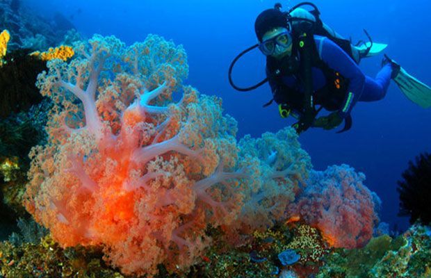 Taman Laut Olele Gorontalo