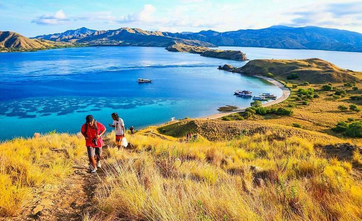 Sunset Terindah di Gili Lawa: Bukit Savana Labuan Bajo yang Bikin Hati Tenang!