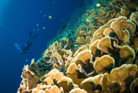 Pulau Bunaken